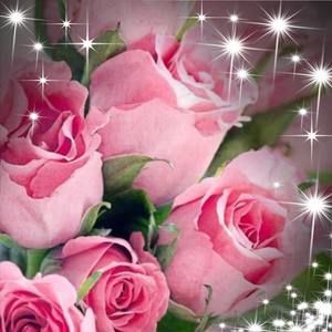 Meet your Posher, Yasemin